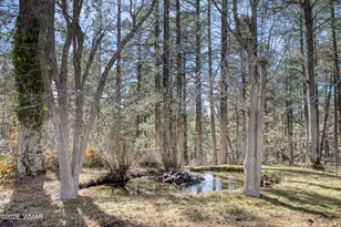 4681 W Mogollon Dr, Show Low, AZ 85901 - Photo 27