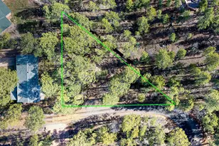 4681 W Mogollon Dr, Show Low, AZ 85901 - Photo 25