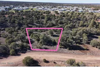 1836 Rocky Bottom Place, Show Low, AZ 85901 - Photo 5