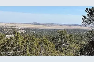 28 N8620 Parcel 107-38-002G, Concho, AZ 85924 - Photo 5