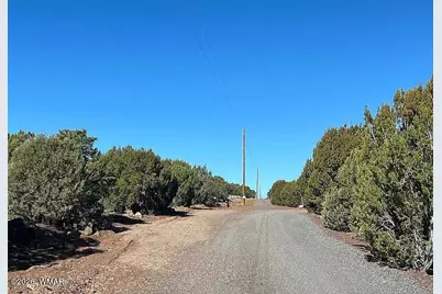 28 N8620 Parcel 107-38-002G, Concho, AZ 85924 - Photo 7