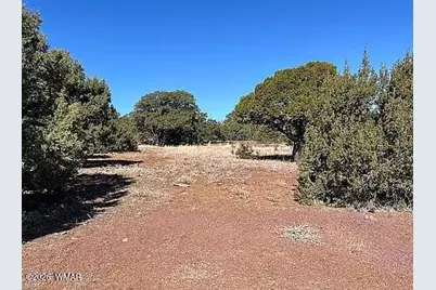 28 N8620 Parcel 107-38-002G, Concho, AZ 85924 - Photo 1