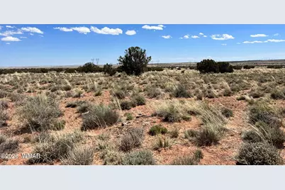 5347 Old Woodruff Road, Snowflake, AZ 85937 - Photo 3