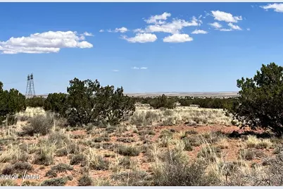 5347 Old Woodruff Road, Snowflake, AZ 85937 - Photo 7