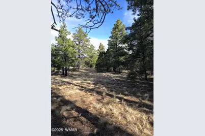 Lot 8 Red Cabin Ranch #8, Unit Lot8, Vernon, AZ 85940 - Photo 19