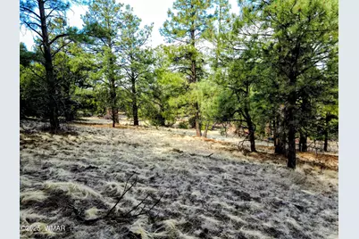 Lot 8 Red Cabin Ranch #8, Unit Lot8, Vernon, AZ 85940 - Photo 5