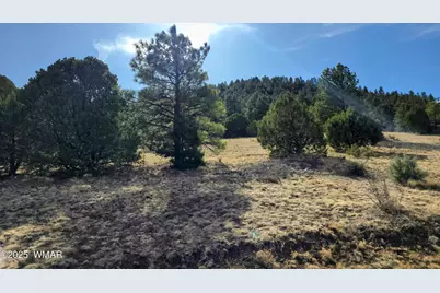 Lot 8 Red Cabin Ranch #8, Unit Lot8, Vernon, AZ 85940 - Photo 31