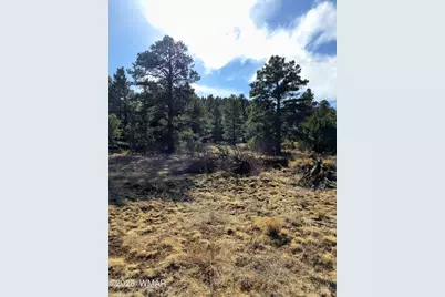 Lot 8 Red Cabin Ranch #8, Unit Lot8, Vernon, AZ 85940 - Photo 29