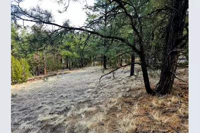 Lot 8 Red Cabin Ranch #8, Unit Lot8, Vernon, AZ 85940 - Photo 7
