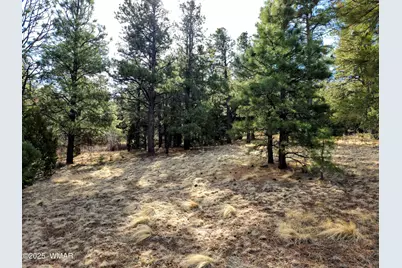 Lot 8 Red Cabin Ranch #8, Unit Lot8, Vernon, AZ 85940 - Photo 15