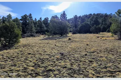 Lot 8 Red Cabin Ranch #8, Unit Lot8, Vernon, AZ 85940 - Photo 23
