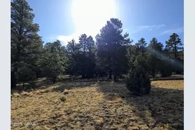 Lot 8 Red Cabin Ranch #8, Unit Lot8, Vernon, AZ 85940 - Photo 25