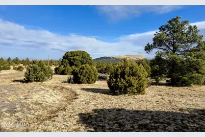 Lot 8 Red Cabin Ranch #8, Unit Lot8, Vernon, AZ 85940 - Photo 21