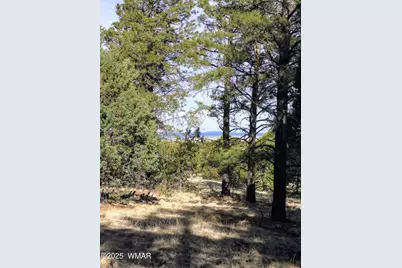 Lot 8 Red Cabin Ranch #8, Unit Lot8, Vernon, AZ 85940 - Photo 11