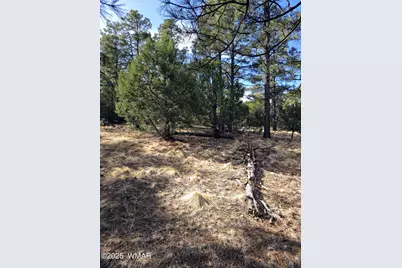 Lot 8 Red Cabin Ranch #8, Unit Lot8, Vernon, AZ 85940 - Photo 17