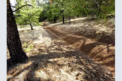 Lot 8 Red Cabin Ranch #8, Unit Lot8, Vernon, AZ 85940 - Photo 13