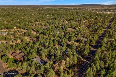 2202 Forest Park Drive, Overgaard, AZ 85933 - Photo 45
