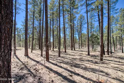 4 Acres E Osprey Lane, Pinetop, AZ 85935 - Photo 5