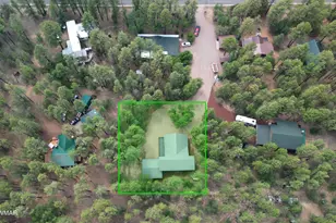 1787 S Hart Lake Ln, Lakeside, AZ 85929 - Photo 3