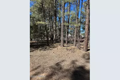 3725 Bear Trail, Lakeside, AZ 85929 - Photo 11