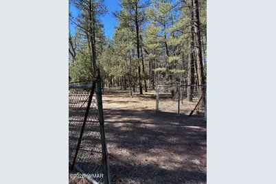 3725 Bear Trail, Lakeside, AZ 85929 - Photo 15