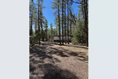 3725 Bear Trail, Lakeside, AZ 85929 - Photo 3