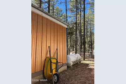 3725 Bear Trail, Lakeside, AZ 85929 - Photo 7