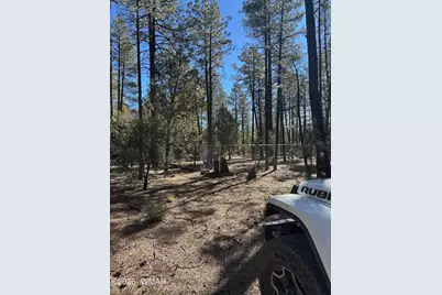 3725 Bear Trail, Lakeside, AZ 85929 - Photo 9