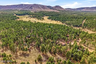 6 N Cr 2148, Alpine, AZ 85920 - Photo 23