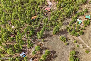 6 N Cr 2148, Alpine, AZ 85920 - Photo 21