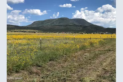 0 Tract C Tbd, Nutrioso, AZ 85932 - Photo 1