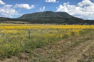 0 Tract C Tbd, Nutrioso, AZ 85932 - Photo 1