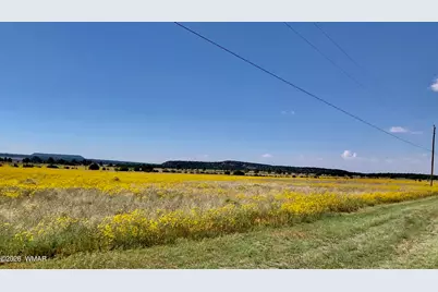 0 Tract C Tbd, Nutrioso, AZ 85932 - Photo 5