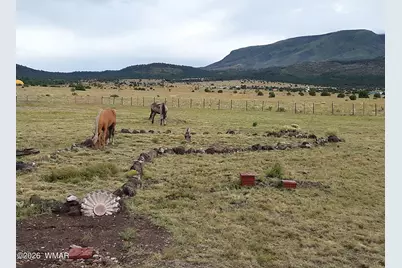 0 Tract C Tbd, Nutrioso, AZ 85932 - Photo 7