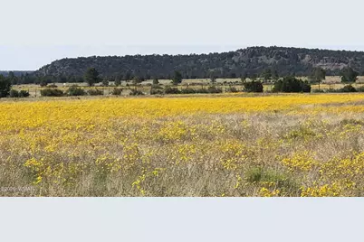0 Tract C Tbd, Nutrioso, AZ 85932 - Photo 5