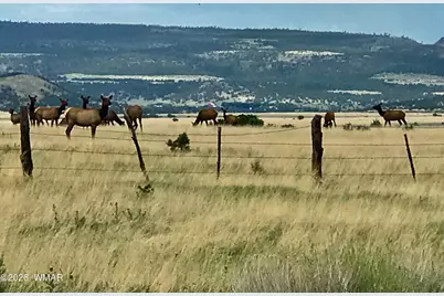 0 Tract E Tbd, Nutrioso, AZ 85932 - Photo 5