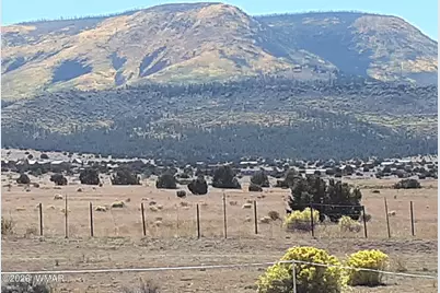 0 Tract E Tbd, Nutrioso, AZ 85932 - Photo 11