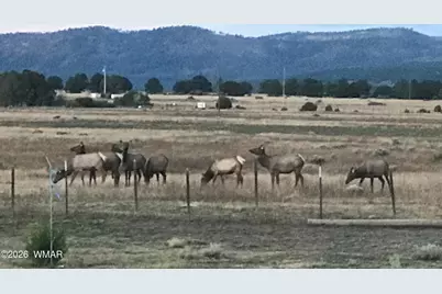 0 Tract E Tbd, Nutrioso, AZ 85932 - Photo 11