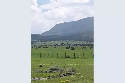 0 Tract E Tbd, Nutrioso, AZ 85932 - Photo 9