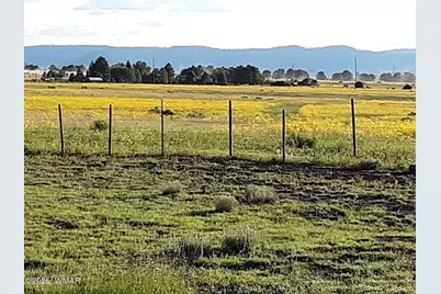 0 Tract E Tbd, Nutrioso, AZ 85932 - Photo 9