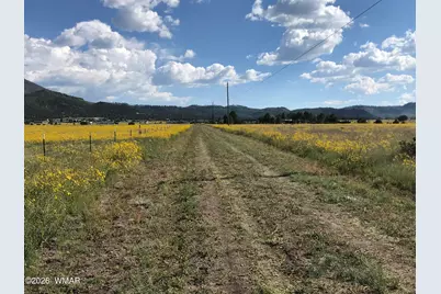 0 Tract E Tbd, Nutrioso, AZ 85932 - Photo 3