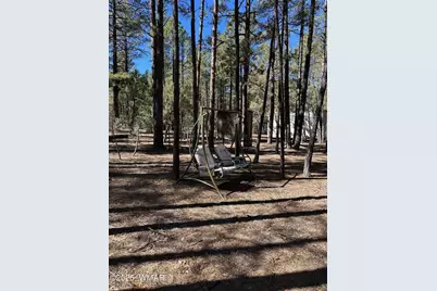 3737 Bear Trail, Lakeside, AZ 85929 - Photo 5