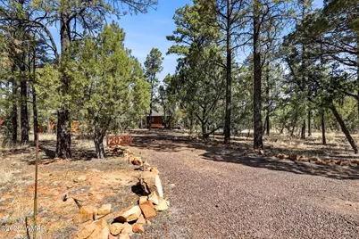 2028 Jones Pass, Overgaard, AZ 85933 - Photo 3