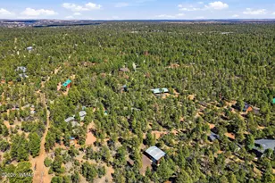 2028 Jone's Pass, Overgaard, AZ 85933 - Photo 29