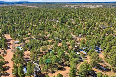 2877 Lazy Bear Trail, Overgaard, AZ 85933 - Photo 29