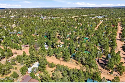 2877 Lazy Bear Trail, Overgaard, AZ 85933 - Photo 27