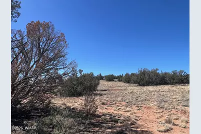 3920 Freeman Hollow Road, Snowflake, AZ 85937 - Photo 3