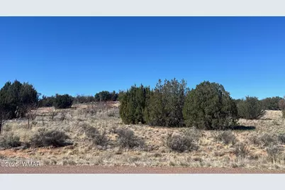 3920 Freeman Hollow Road, Snowflake, AZ 85937 - Photo 7