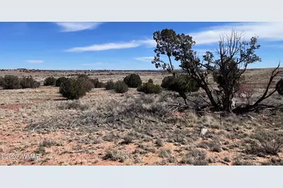 3920 Freeman Hollow Road, Snowflake, AZ 85937 - Photo 5
