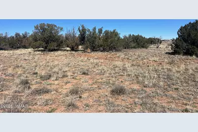 3920 Freeman Hollow Road, Snowflake, AZ 85937 - Photo 11